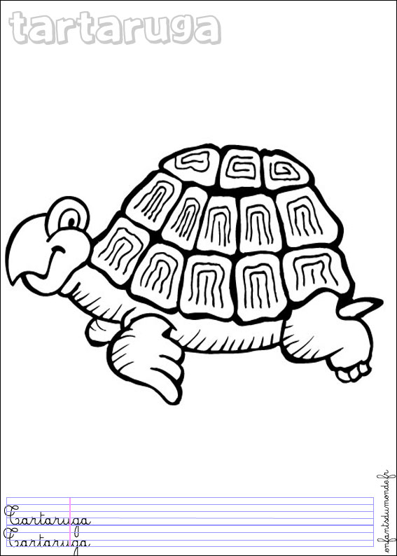 coloriage tortue 2